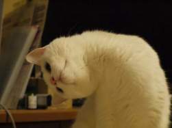 72656 B