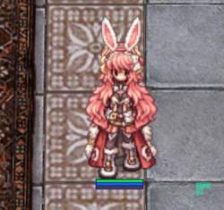 145604 B