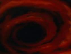8147029 B