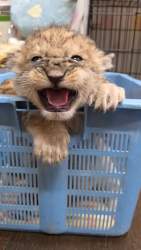 5658796 B