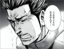 41006 B