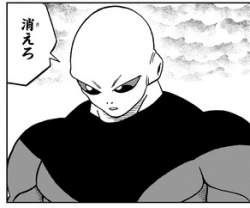23256 B
