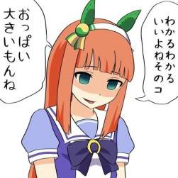 77681 B