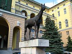 39974 B