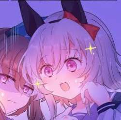 24462 B