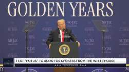 3278239 B