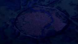 7991219 B