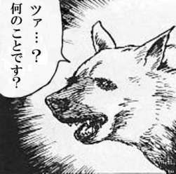 66102 B