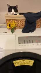 562437 B