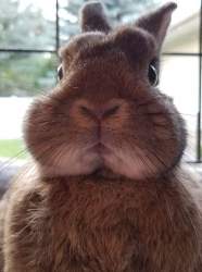 63894 B