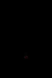 7944459 B