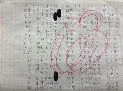 2133992 B