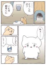 1607774 B