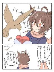 65554 B