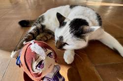 1107281 B