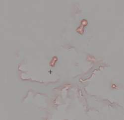 50977 B