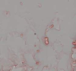 75841 B