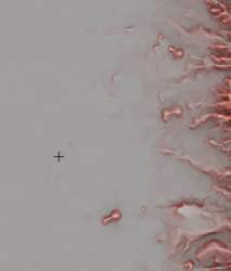 50496 B