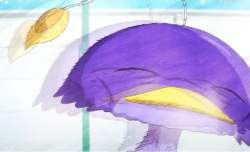 42583 B