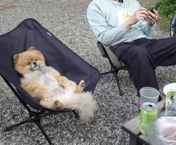 816924 B
