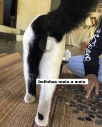 227340 B