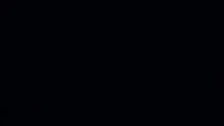8009485 B