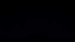 7448851 B