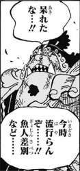 252324 B