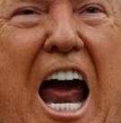 7196 B