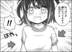 73377 B