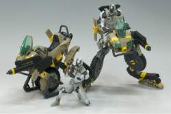 300703 B