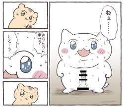 135555 B