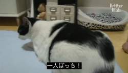 76069 B