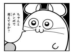 76804 B