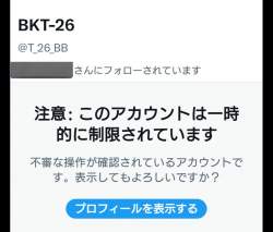 87333 B