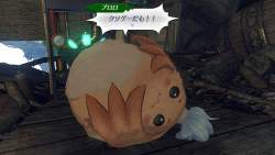 202486 B