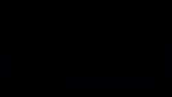 4566218 B
