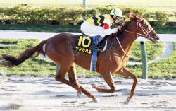232022 B