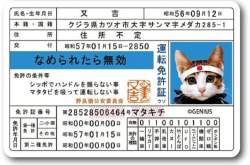 126221 B