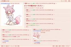 210893 B