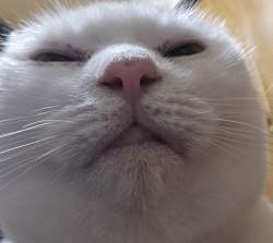 527277 B