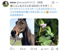 723582 B