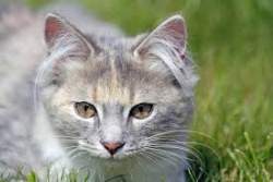 8024 B
