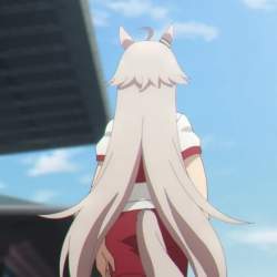 49533 B