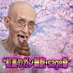 354696 B