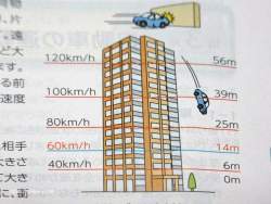 48779 B