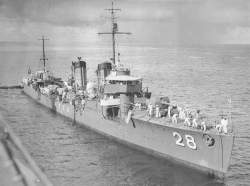 233268 B