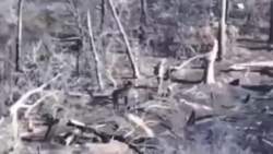 916381 B