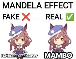 48582 B