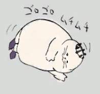 22999 B